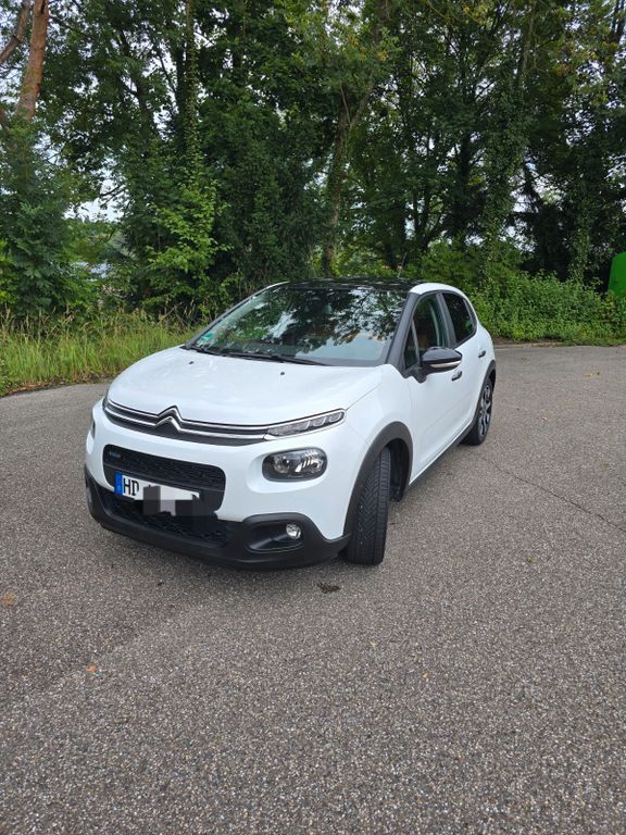 C3