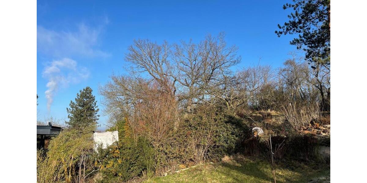 Haus zur Miete in Toplage Halle Kröllwitz mit großem Garten 5 zimmer