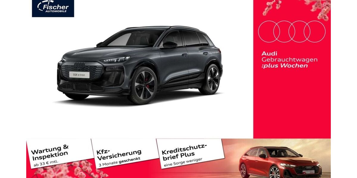 Audi SQ6 e-tron 9.321 km 80.980 &euro; Neumarkt 92318