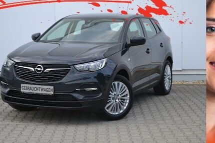 Opel Grandland (X) 53.212 km 15.490 &euro; Bautzen 02625