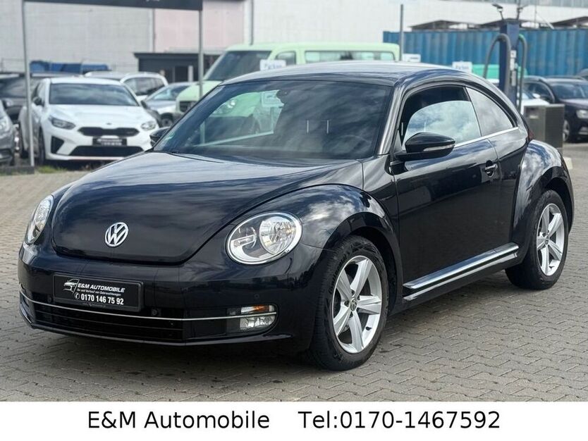 Beetle