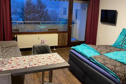 Wohnung Bad Grund (Harz) - 1 Zimmer, 30 m&sup2;, 560&euro; | Angebot:24514412