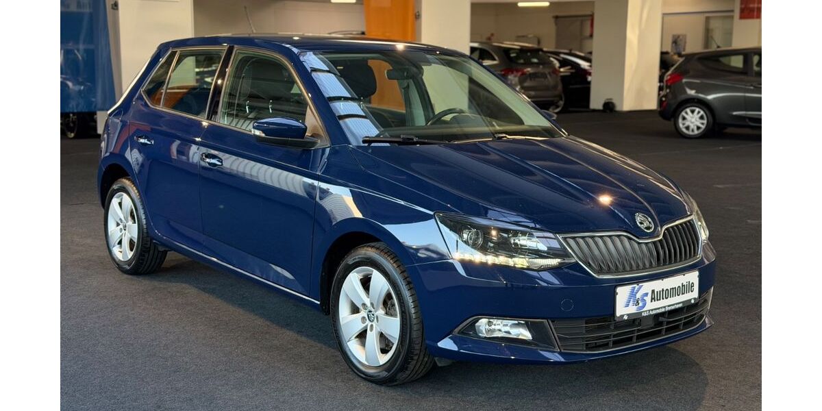 Skoda Fabia 62.500 km 12.999 &euro; Bremerhaven 27568
