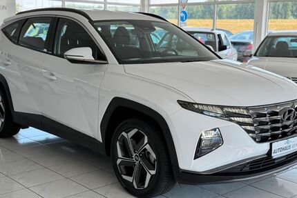Hyundai TUCSON 55.000 km 23.790 &euro; Speyer 67346
