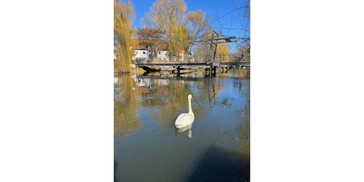 Reihenendhaus Königs Wusterhausen - 3 Zimmer, 105 m&sup2;, 1.585&euro; | Angebot:23653786