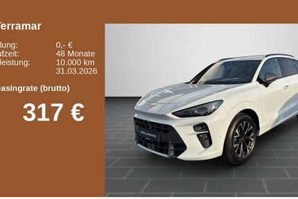 Cupra Terramar 31.740 km 32.890 &euro; Simmern 55469