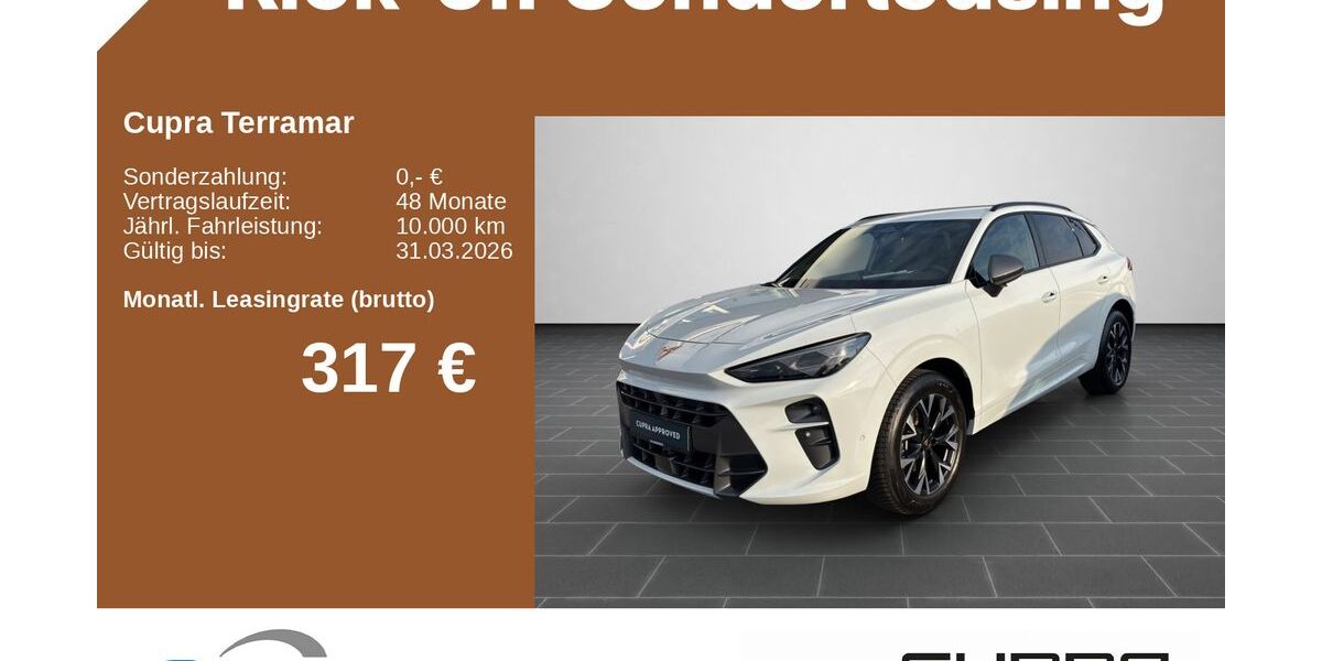 Cupra Terramar 31.740 km 32.890 &euro; Simmern 55469