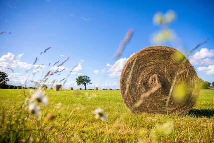 Grundstück in Straubing 31.860 € 3540 m² zimmer