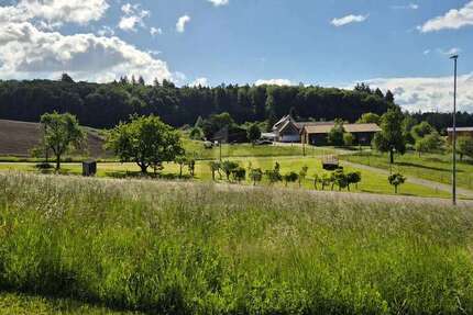 Grundstück Allensbach - 330.000&euro; | Angebot:27288734