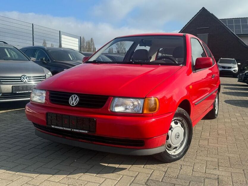 Polo