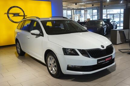 Skoda Octavia 93.256 km 14.790 &euro; Hollenstedt 21279