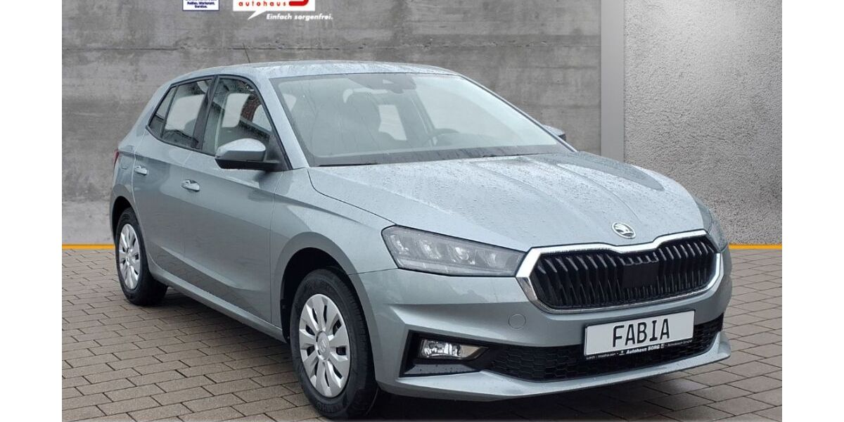 Skoda Fabia 2.172 km 18.290 &euro; Schwäbisch Gmünd 73525