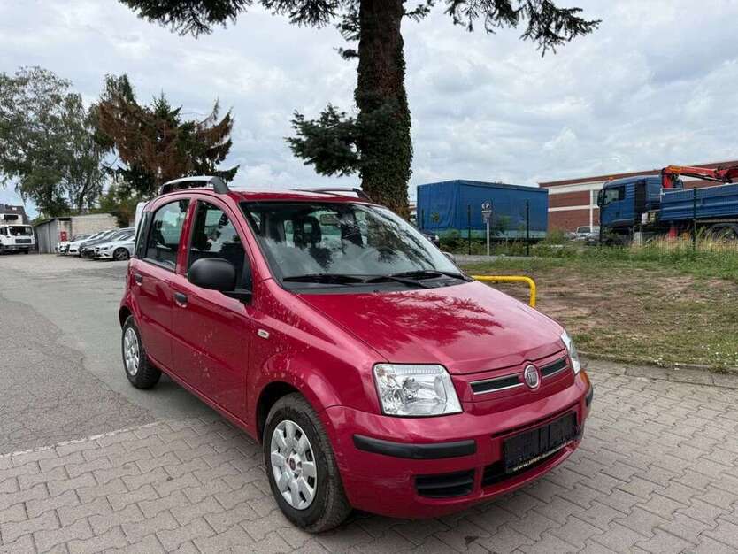 Panda
