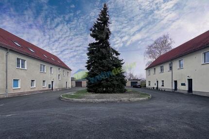 Frisch renoviert in ruhiger Lage - Hübsche 2-Zimmer Wohnung im EG - Tageslichtbad mit Dusche - EBK 2 zimmer