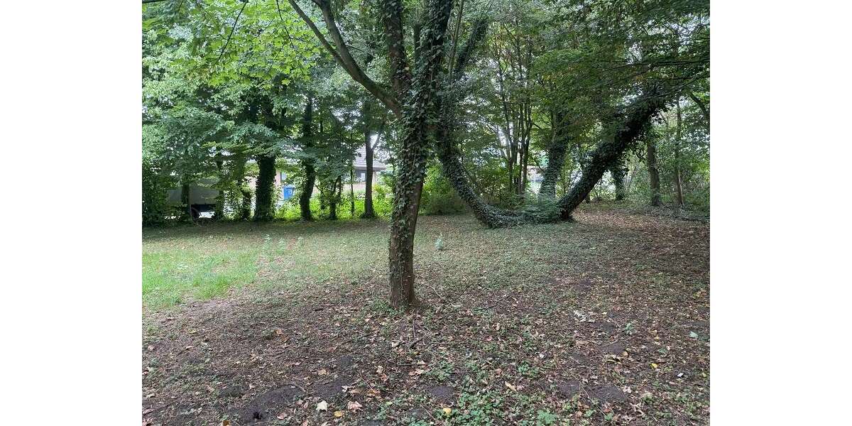 Grundstück Delbrück - 249.000&euro; | Angebot:24217420