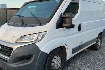 Fiat Ducato 270.000 km 17.500 &euro; Grosswallstadt 63868