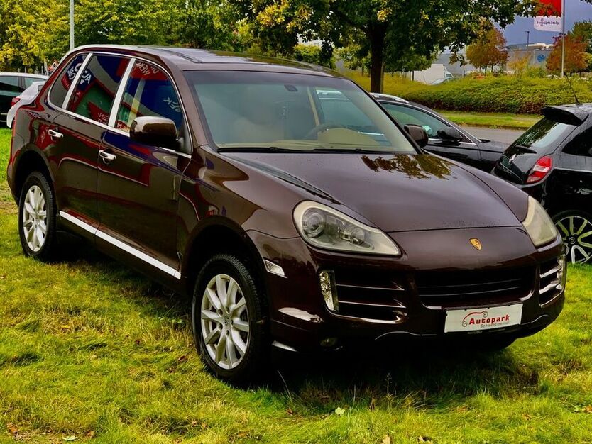 Cayenne