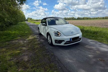 VW Beetle 42.800 km 16.900 &euro; Lähden 49774