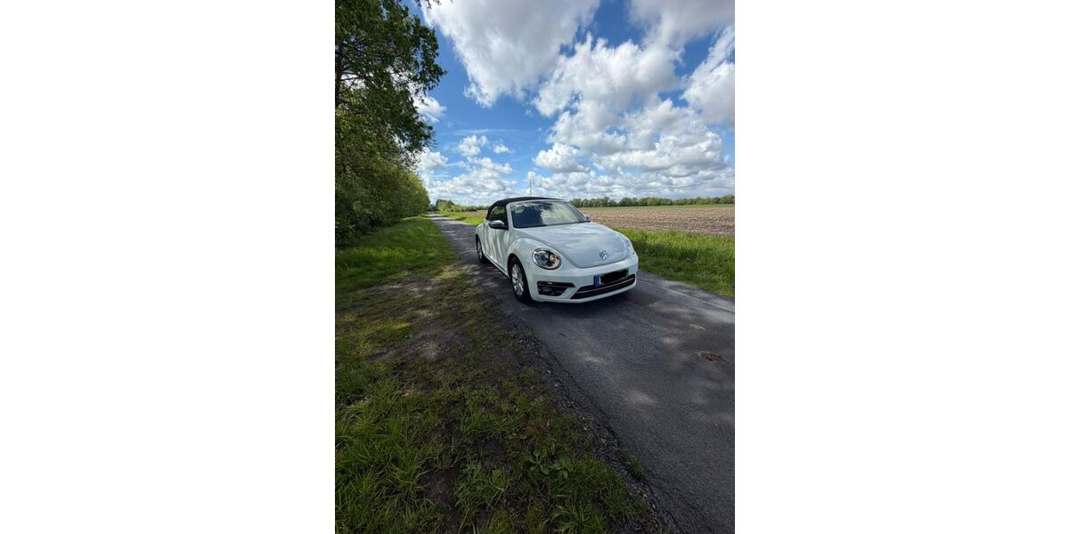 VW Beetle 42.800 km 16.900 &euro; Lähden 49774