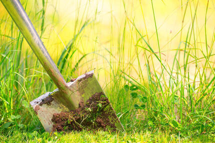Grundstück zur Wohnbebauung mit Altbestand