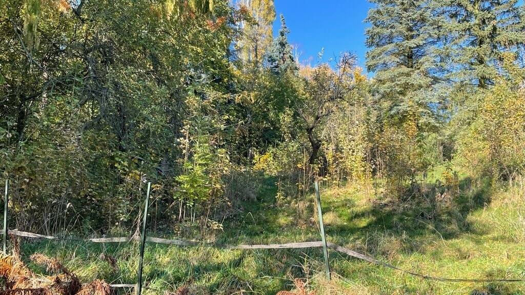 Grundstück Freital Weißig - 85.000&euro; | Angebot:23987562