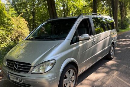 Mercedes Viano