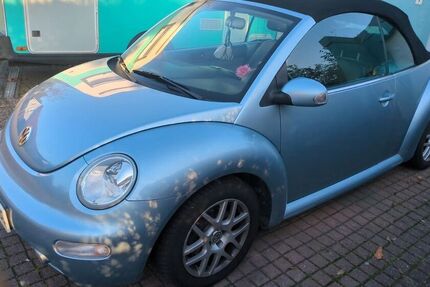 VW Beetle