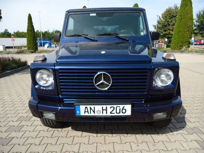 G 300