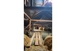 Bauernhaus, Landhaus Elsterberg - 8 Zimmer, 180 m&sup2;, 190.000&euro; | Angebot:26442904