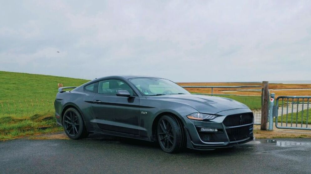 Mustang