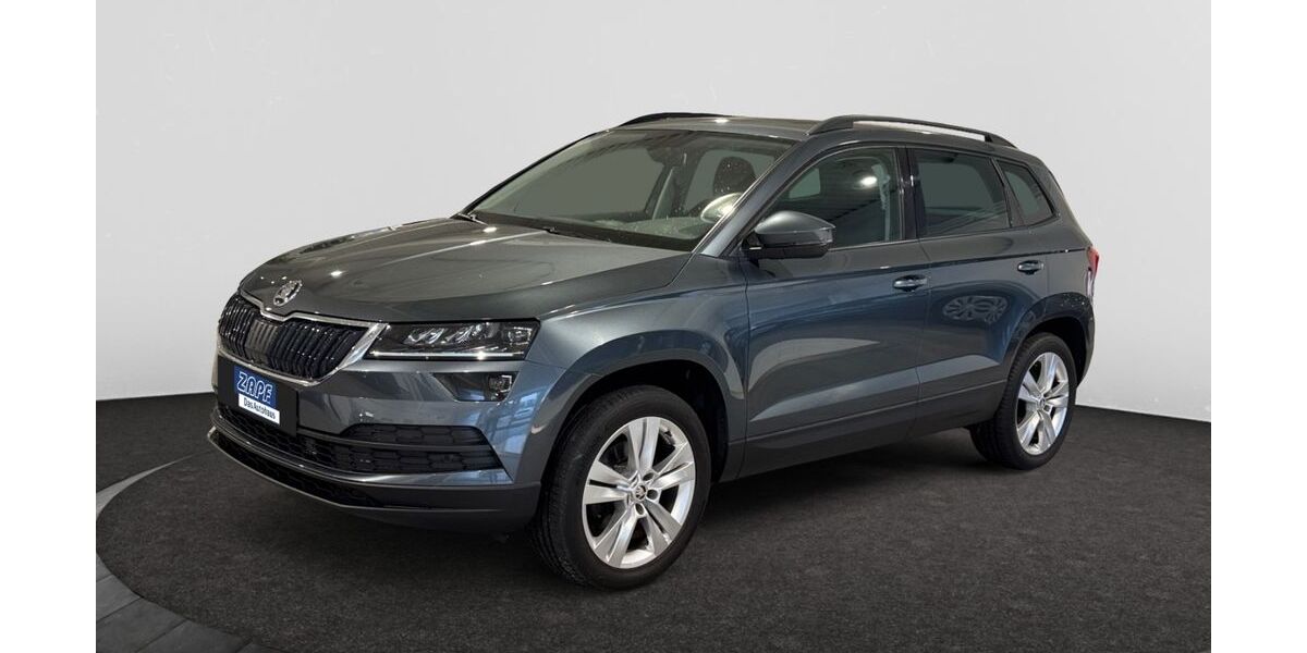 Skoda Karoq 142.000 km 17.490 &euro; Hof 95032