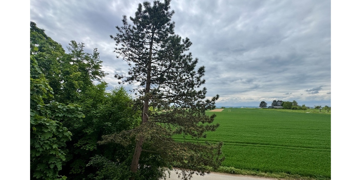 Steinbach: Großzügige Wohnung für die junge Familie! - Etagenwohnung Steinbach | Angebot:26476376