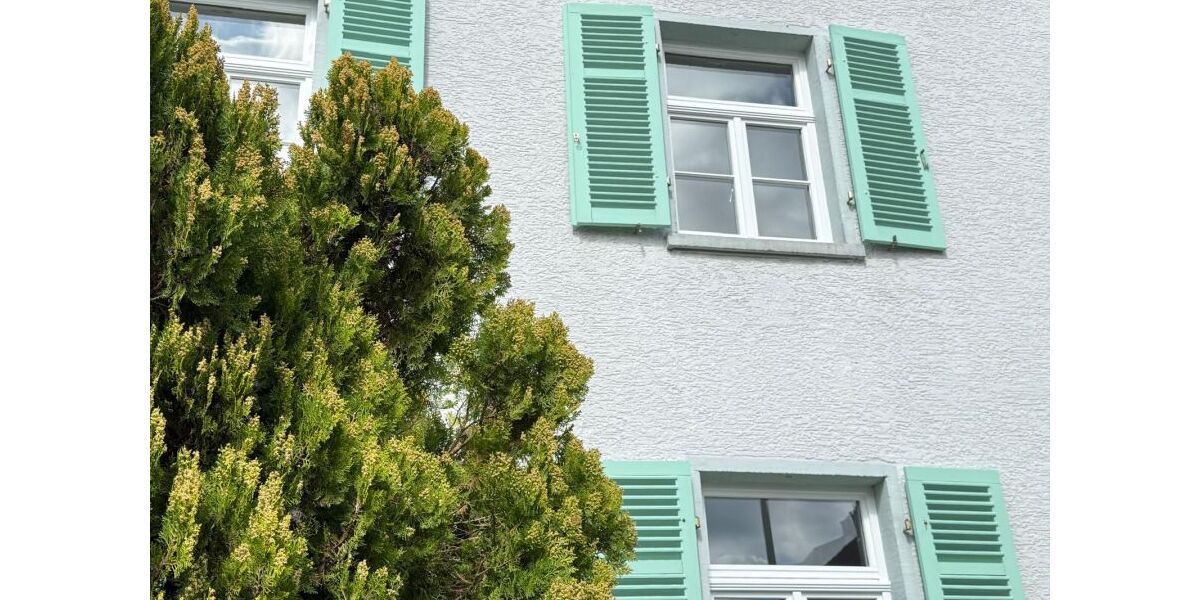 Mehrfamilienhaus oder für 1 Familie: Stilaltbau-Villa komplett-saniert mit Garten, Hof und Stall - Einfamilienhaus Pfungstadt | Angebot:26348399