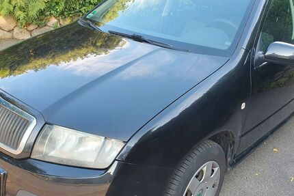 Skoda Fabia 176.445 km 2.690 &euro; Borstel 24616