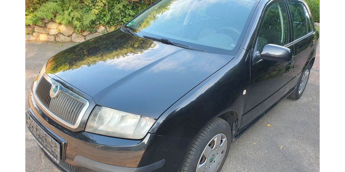 Skoda Fabia 176.445 km 2.690 &euro; Borstel 24616