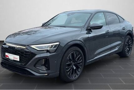 Audi Q8 e-tron 75.541 km 46.900 &euro; Ludwigshafen 67063