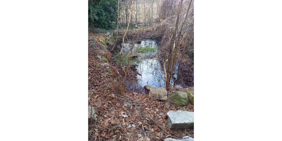 Reihenhaus Chemnitz Euba - 85.000&euro; | Angebot:25304320