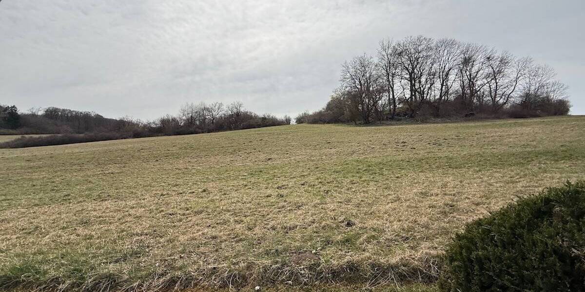 Mehrfamilienhaus, Wohnhaus Hüttenrode Elbingerode - 4 Zimmer, 65 m&sup2;, 195.000&euro; | Angebot:26229047