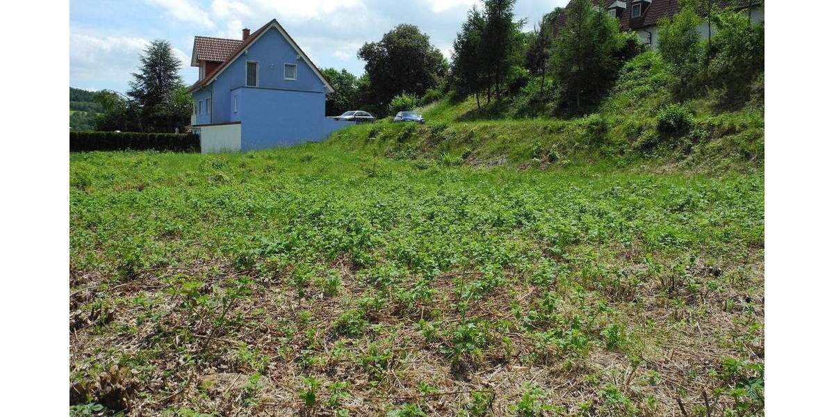 Grundstück Bad Brückenau - 45.000&euro; | Angebot:23967372