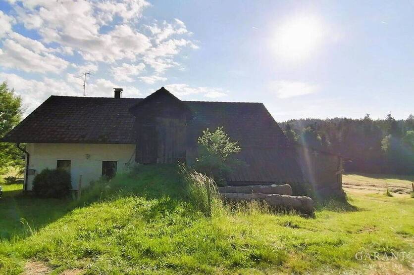 Idylle pur! Bauernhaus sucht Handwerker!