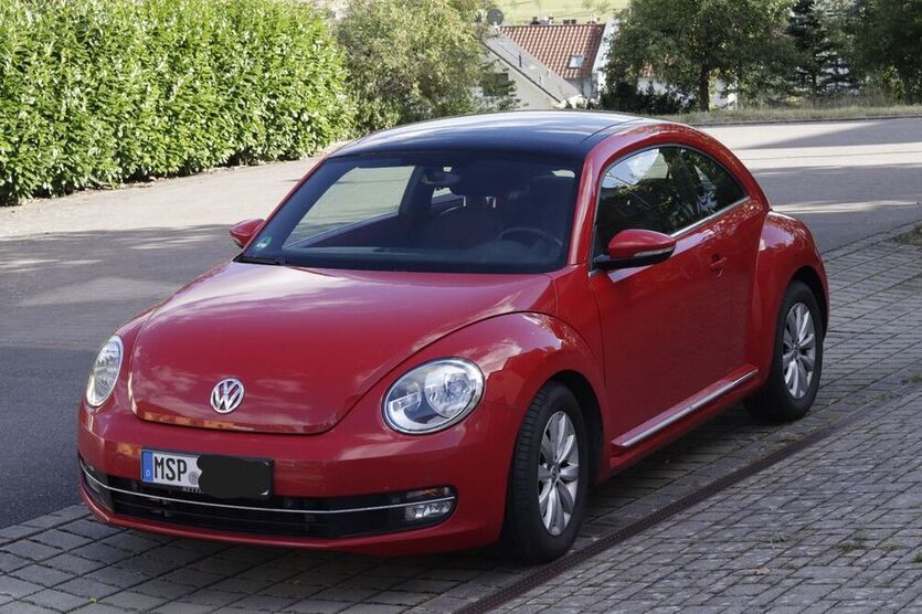 Beetle