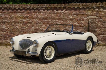 Austin Healey Andere