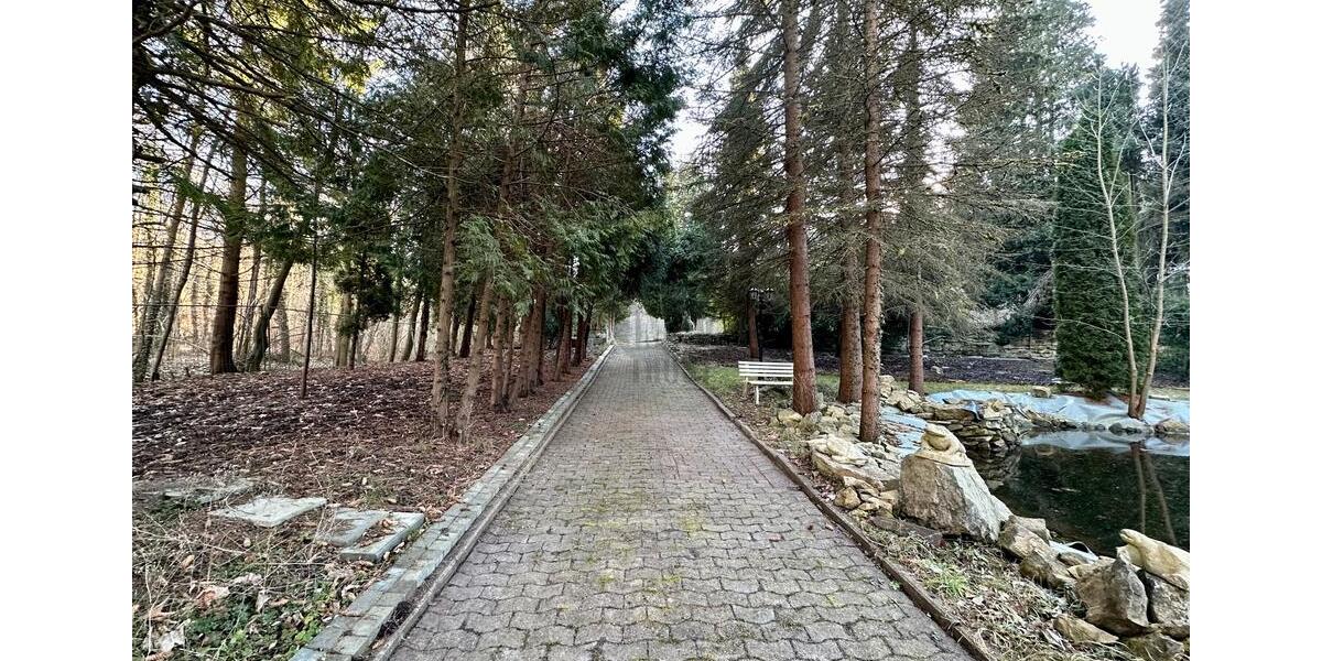 Gewerbeobjekt Springe - 995.000&euro; | Angebot:23741367