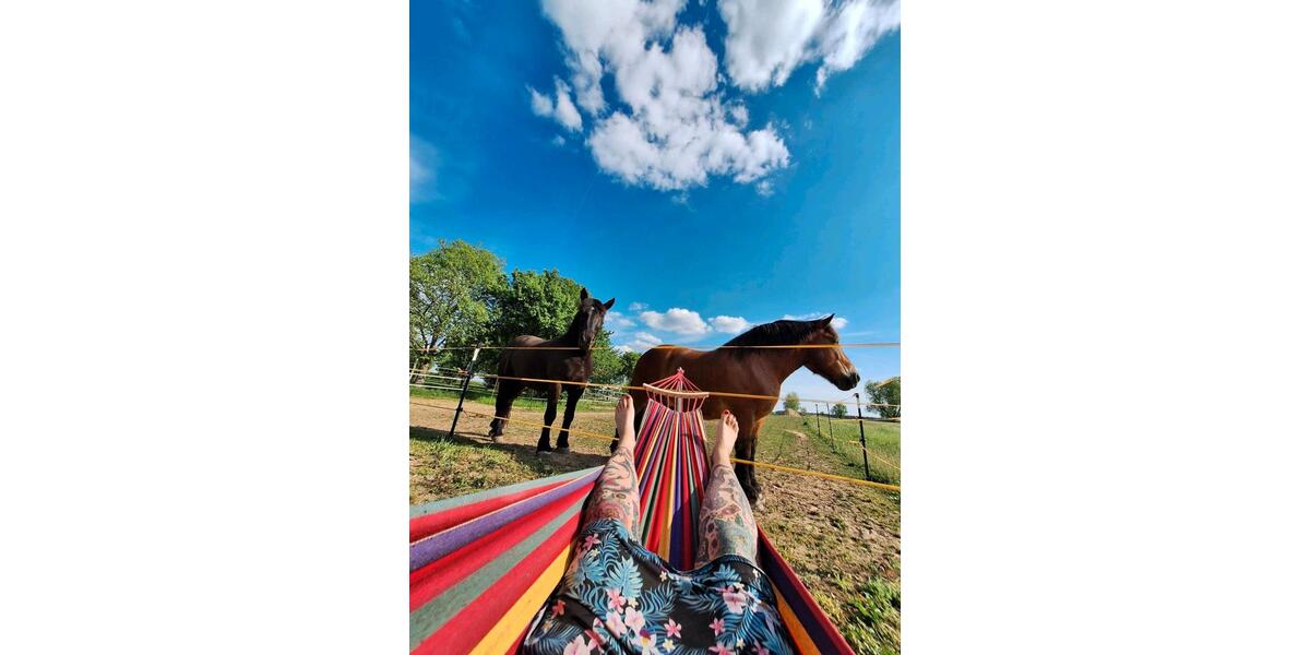 Gewerbeobjekt Neuzelle - 600&euro; | Angebot:25234761