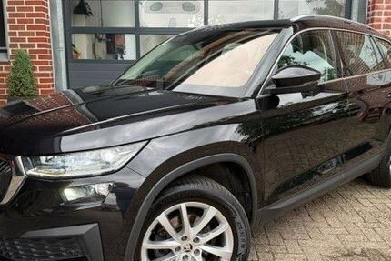 Skoda Kodiaq 176.578 km 20.950 &euro; Wietmarschen - Lohne 49835