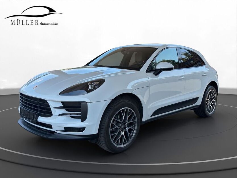 Macan