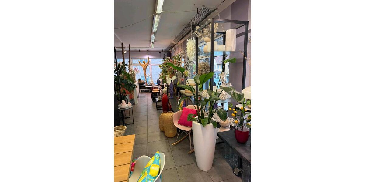 Gewerbeobjekt Stein - 2.200&euro; | Angebot:24080754