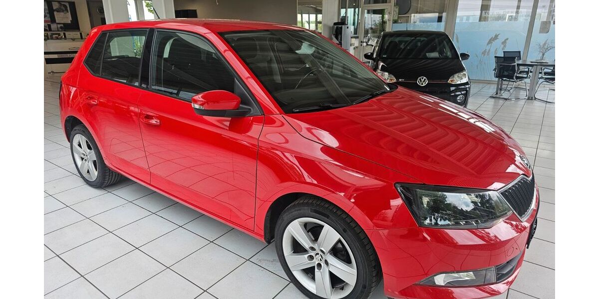 Skoda Fabia 69.000 km 7.990 &euro; Berghülen 89180