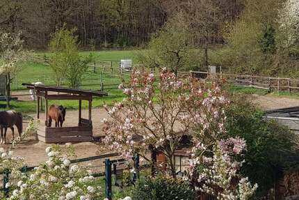 Wohnung zum Mieten in Dreieich 2.000 € 144 m² - Wohnung Dreieich | Angebot:26095193