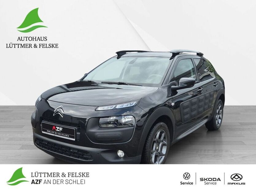 C4 Cactus